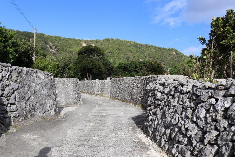阿伝集落のサンゴの石垣
